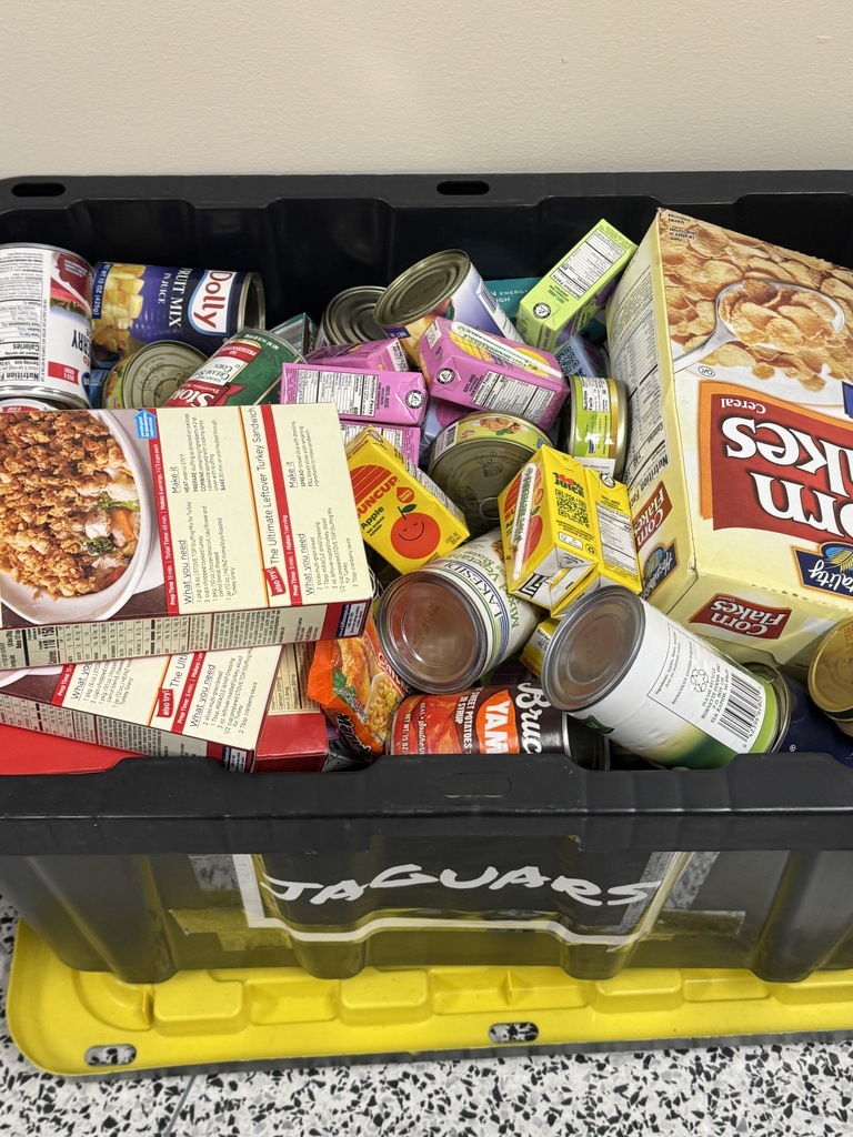 Before Thanksgiving break, HFCS made a few donations to the local food pantry at HACA (Hoosick Area Church Association). The elementary school hosted a hat day where students and staff could donate $1 to HACA and wear a hat. They raised $480! The Art Club also held a food and toiletries drive and collected a lot of great items. The middle school had a house challenge to see which house could collect more food items to donate, and they filled a trunk!  Great job to our students and staff, and to the families who help donate and encourage our students to spread generosity and think about our community. 💙🐾