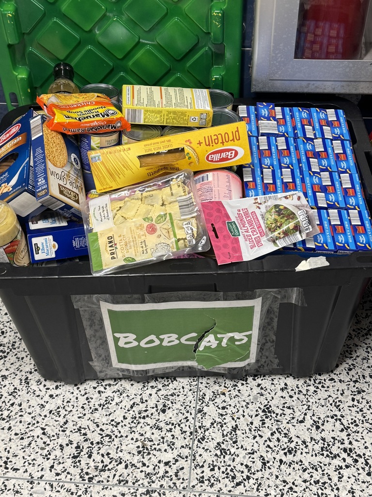 Before Thanksgiving break, HFCS made a few donations to the local food pantry at HACA (Hoosick Area Church Association). The elementary school hosted a hat day where students and staff could donate $1 to HACA and wear a hat. They raised $480! The Art Club also held a food and toiletries drive and collected a lot of great items. The middle school had a house challenge to see which house could collect more food items to donate, and they filled a trunk!  Great job to our students and staff, and to the families who help donate and encourage our students to spread generosity and think about our community. 💙🐾