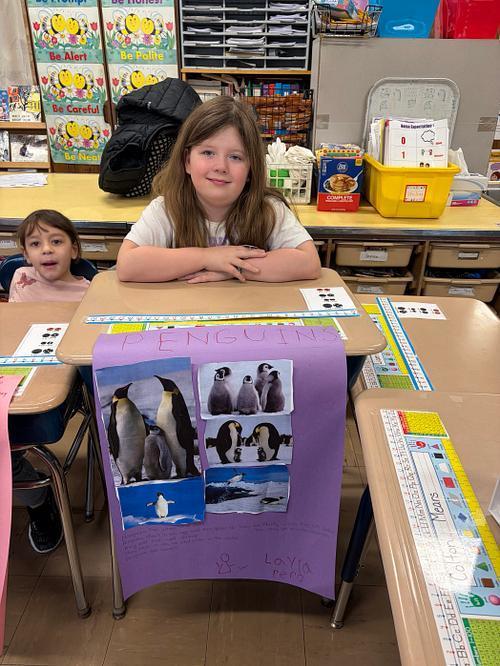 🐧Second-grade students learned all about penguins this month! 🐧Students had to choose a penguin to research, complete a report, and then create a diorama, poster, or physical display all about the penguin they researched. Then the students had the opportunity to present their project to the other grades and teachers and share all they learned. It was a fun winter project that the students really enjoyed!