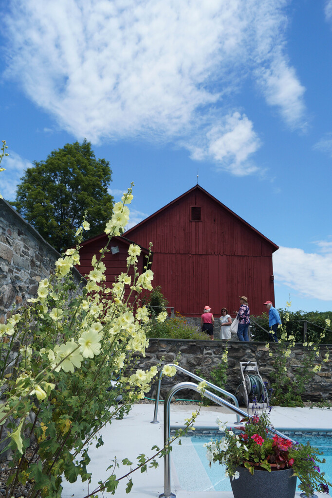 The Hoosick Blooms garden and farm tour is back, welcoming visitors to eight extraordinary properties tucked into the rolling hills of Hoosick. The self-driving tour runs Saturday and Sunday, July 11 and 12, 2026, from 10 am to 4 pm. Tickets are for sale now at hoosickblooms.org. This year's tour spans working farms, a sculpture garden, historic homesteads and barns, and community growing spaces. Something for everyone! Tour Highlights Making its debut is Teak and Thyme Farm, a 200-year-old farmstead on the NYS Historic Registry, featuring restored agricultural outbuildings, a traditional English cutting garden, native plantings, small sheep flock, an apiary, and a small orchard. North Slope Farm offers sweeping hillside views, ducks, chickens, and goats, plus an open studio visit with resident artist and co-owner Ari Gradus. At Farm Zonder Naam ("No Name" in Dutch), owner Annette Van Rooy's charming property features two century-old barns and a pool in a repurposed barn foundation. The gardens are bursting with hollyhocks, lavender, lilies, and liatris. Mia Westerlund-Roosen's Studio & Sculpture Garden showcases works in concrete, lead, iron, fabric, and resin set against panoramic views of the Rensselaer Plateau and Taconics, with the studio open to visitors. Abbott Farm in Pittstown honors its 19th-century namesake with 200 blueberry bushes, a perennial garden built from old stone foundations, raised vegetable and dahlia beds, and a small orchard of apple, peach, and cherry trees. The Historic Barns of Nipmoose features three timber-frame barns dating from the late 1700s to the mid-1800s, four classic informal gardens, including one perched atop a 12-foot dry-laid stone wall, and sweeping views of working agricultural landscapes. (open Sunday only) The Hoosick Community Garden showcases 20 volunteer-tended beds, an orchard, elderberry, asparagus, and strawberry patches, and a striking brick spiral herb garden. (open Saturday only) Cap off the tour at Hayberry Farm, a 160-acre U-pick destination with 11 blueberry varieties, 14 lavender varieties, raspberries, hazelnuts, and chestnuts. Blueberry ice cream and cold drinks will be available for purchase. Wood-fired pizza from Cut the Pie Pizza Co. will be available for purchase Saturday afternoon. Tickets & Details Tour tickets are $38 per person (valid both days); children under 14 are free. Tickets can be purchased online at hoosickblooms.org or locally at Brown's Brewing Company's Walloomsac Taproom, Hobson's Choice Greenhouse, and Wilder’s Cabinet. Online orders placed by June 29 will be mailed; later orders can be picked up at the CiviCure office at 1–5 Main Street, Hoosick Falls. If cost is an obstacle, contact civicure@gmail.com to ask about a sponsored pass. Proceeds benefit CiviCure's restoration of the historic Wood Block Building at 1–5 Main Street. The Wood Block Center's second-floor gallery will be open during the tour with garden-style flower arrangements and an art exhibition, and raffle tickets for garden-themed prizes will be on sale. The tour is held rain or shine. See the flyere here: https://aptg.co/9Qq6pN