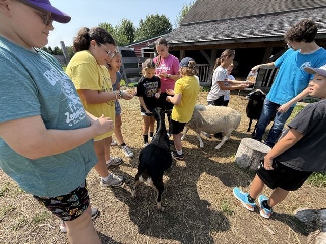 Last Wednesday, Living History Summer Institute students visited Mabee Farm. Mabee Farm was a big hit! The animals, butter churning, grain threshing, and digging potatoes gave them lots of hands-on opportunities to learn about life on a farm in the 18th Century. The kids all did an awesome job! Everyone is ready to be an 18th-century farmer. Thanks for sharing, Mrs. Brownell!