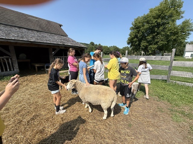 Last Wednesday, Living History Summer Institute students visited Mabee Farm. Mabee Farm was a big hit! The animals, butter churning, grain threshing, and digging potatoes gave them lots of hands-on opportunities to learn about life on a farm in the 18th Century. The kids all did an awesome job! Everyone is ready to be an 18th-century farmer. Thanks for sharing, Mrs. Brownell!