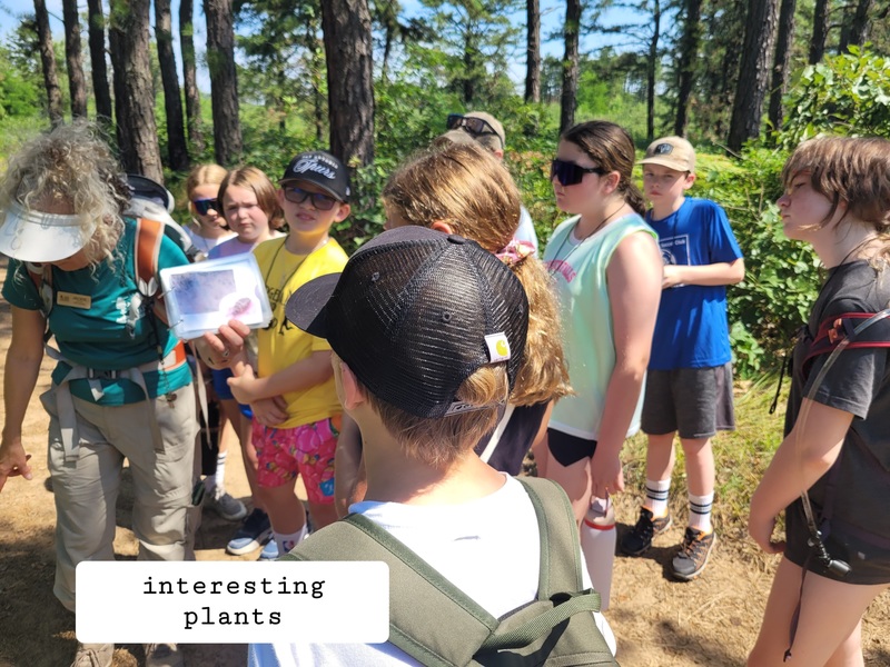 pine bush preserve picture 2