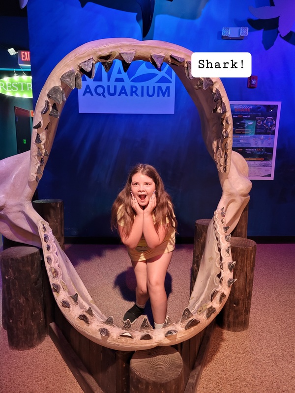 via aquarium picture 2