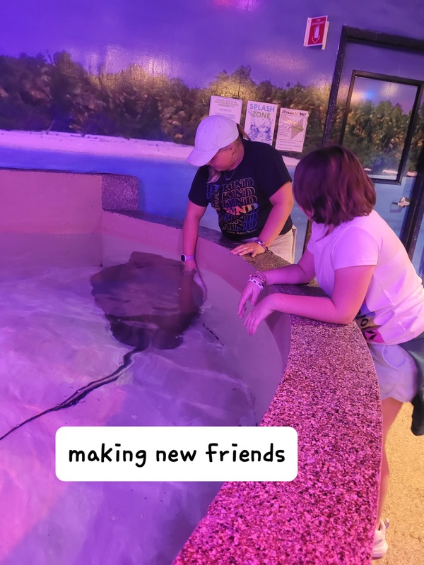 via aquarium picture 5