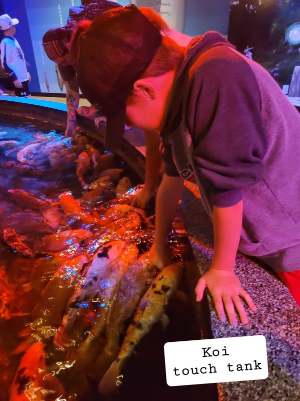 via aquarium picture 7