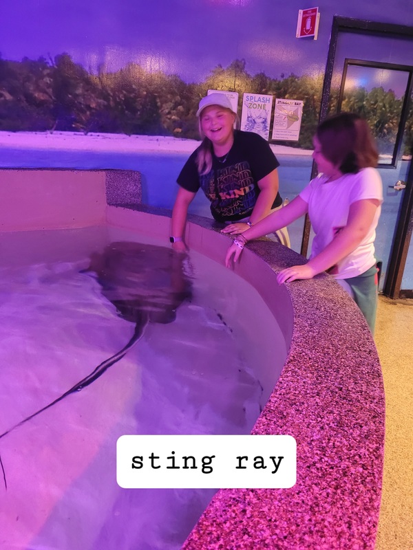 via aquarium picture 6