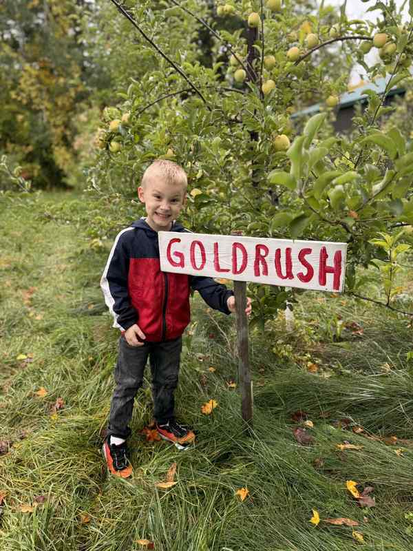 Terry's Orchard Field Trip