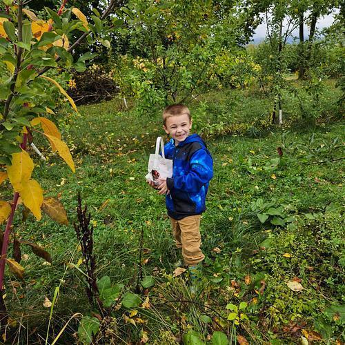 Terry's Orchard Field Trip