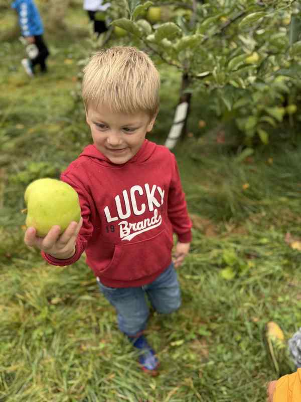 Terry's Orchard Field Trip