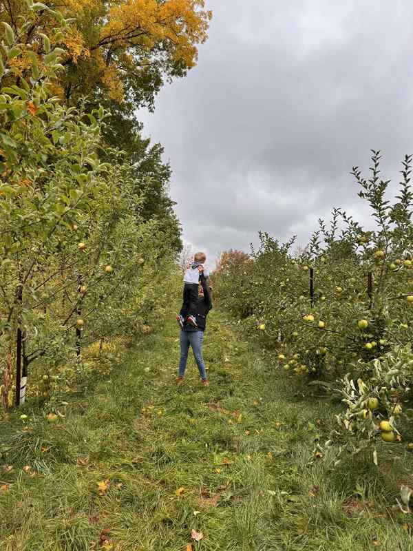 Terry's Orchard Field Trip
