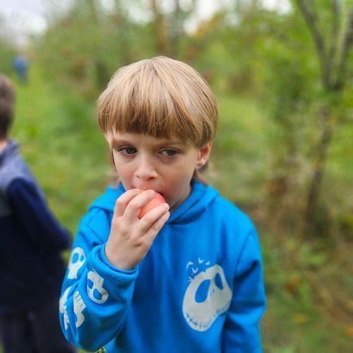 Terry's Orchard Field Trip