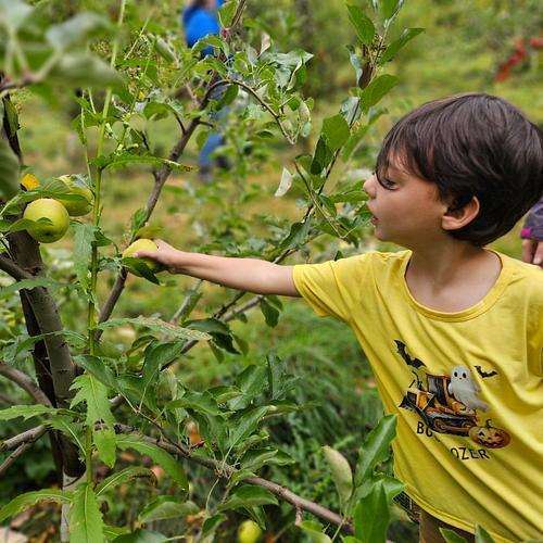 Terry's Orchard Field Trip