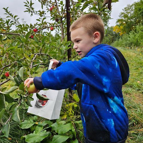 Terry's Orchard Field Trip