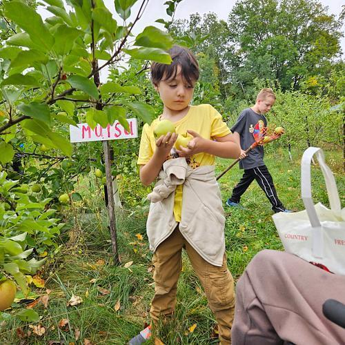 Terry's Orchard Field Trip