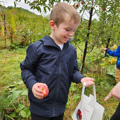 Terry's Orchard Field Trip
