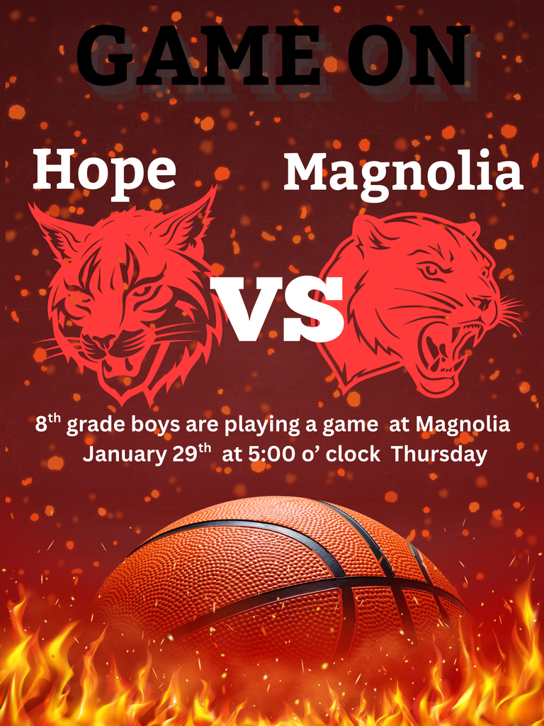 Bobcats vs Magnolia January 29