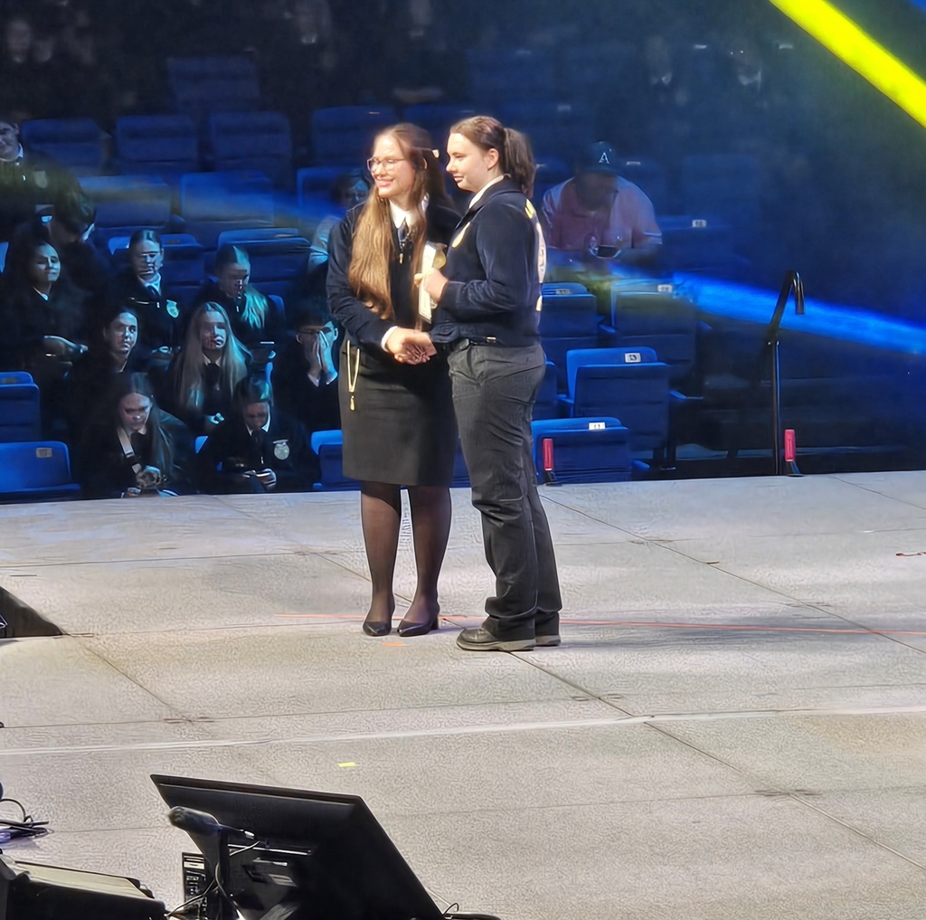 Receiving the National Chapter award on stage