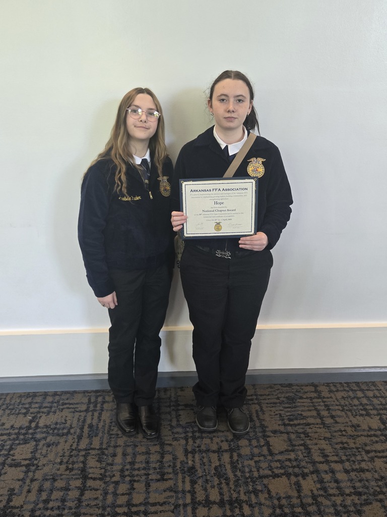 Being recognized  with the National Chapter Award