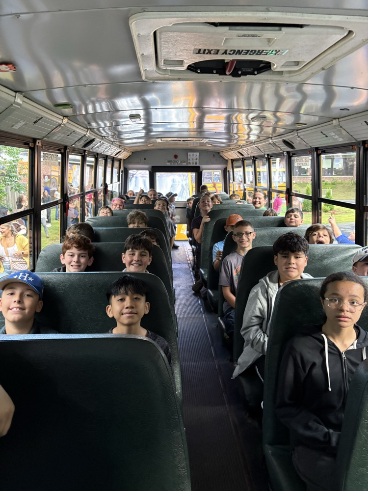 bus