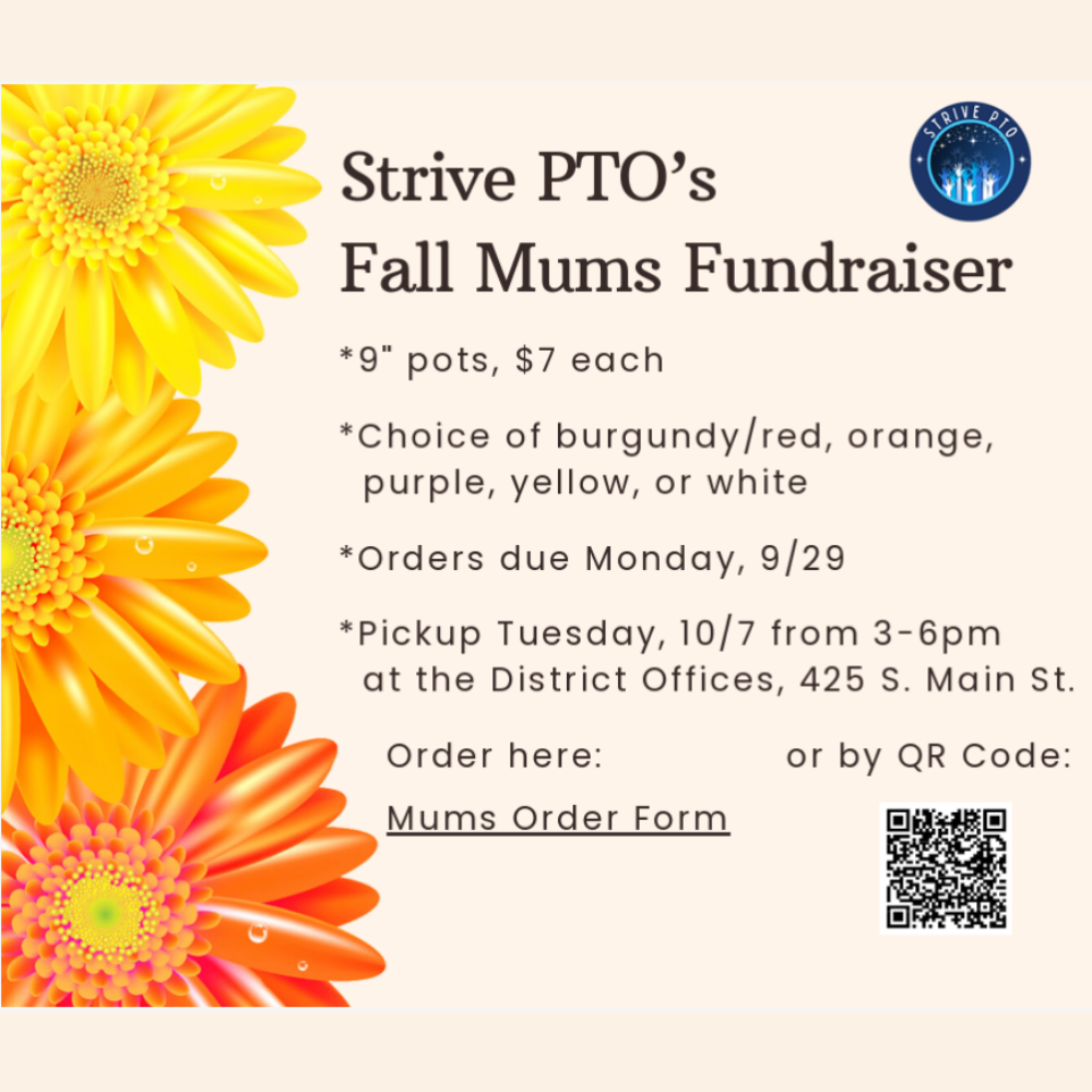 Strive PTO Fall Mums Fundraiser
