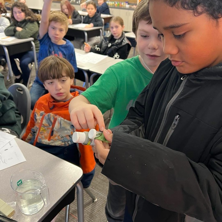 hydroponic lettuce growing 