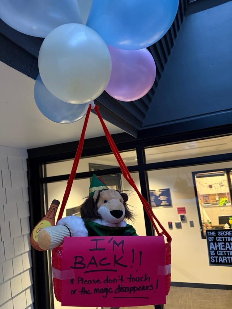 Lincoln Lion mischief!