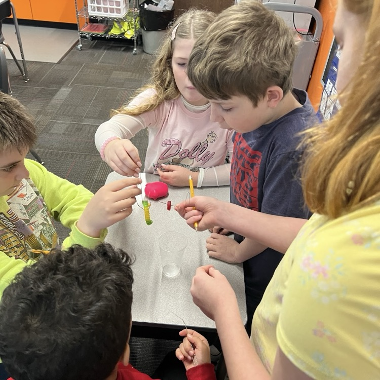 Fred the worm science challenge