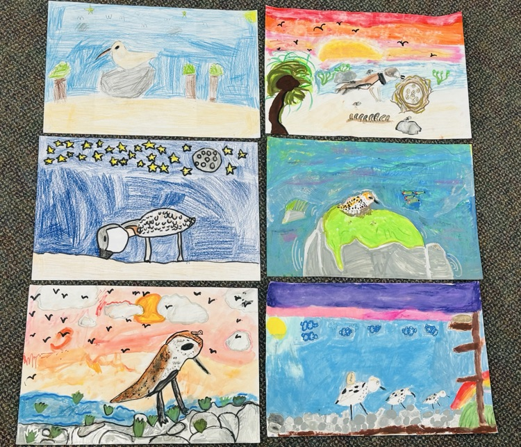 colorful shorebird posters