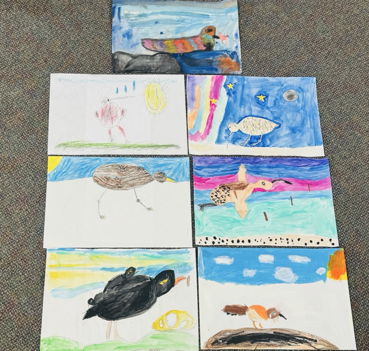 colorful shorebird posters