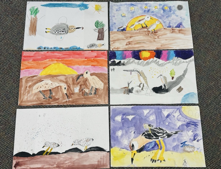 colorful shorebird posters