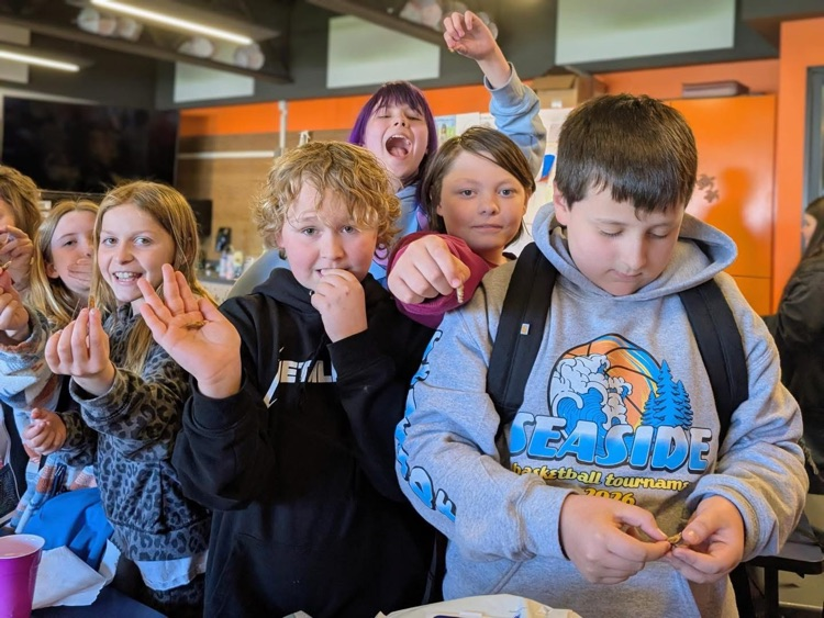 students holding and eating crickets 