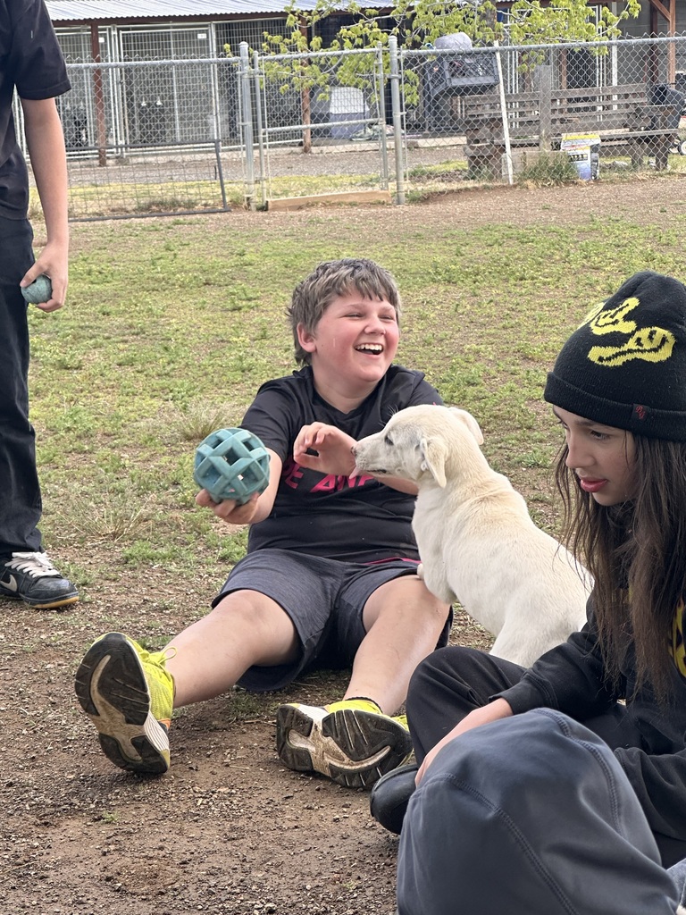 Student playing with a dog. 