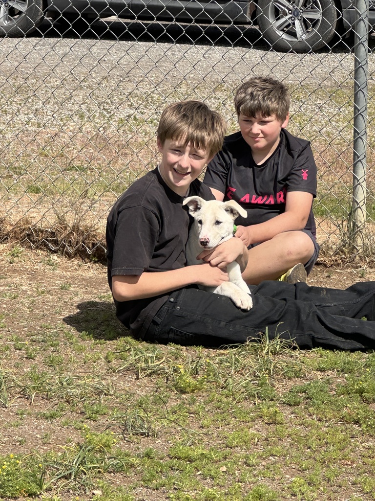 Student holding a puppy. 