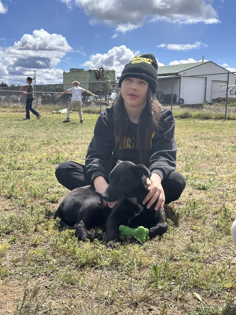 Student sitting on the ground with a puppy. 