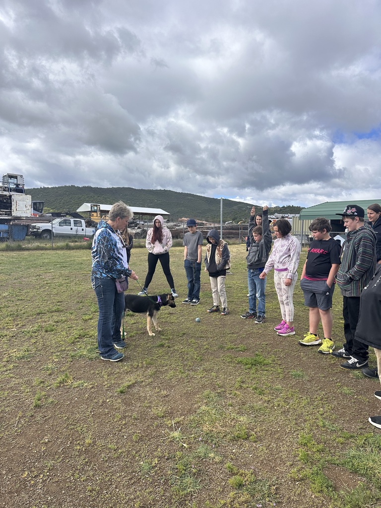 Group of students watching demonstration. 