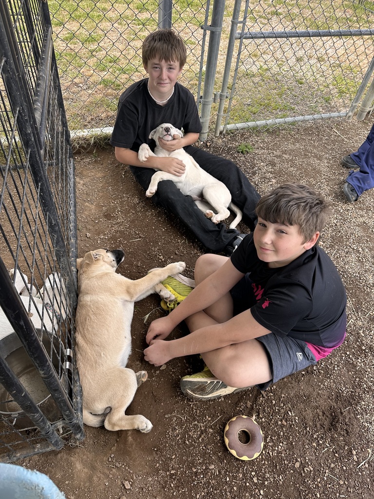 Student's sitting on the ground with puppies. 