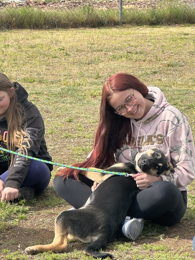 Student with a dog in her lap. 