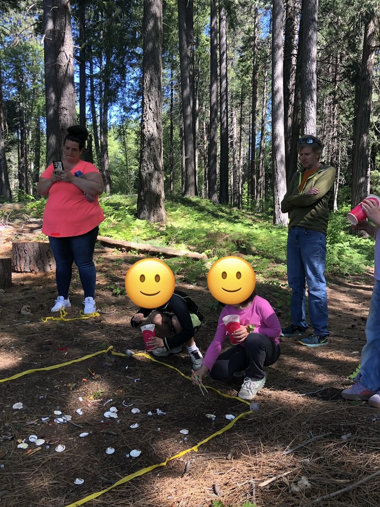 Students in the woods  digging for shells. 