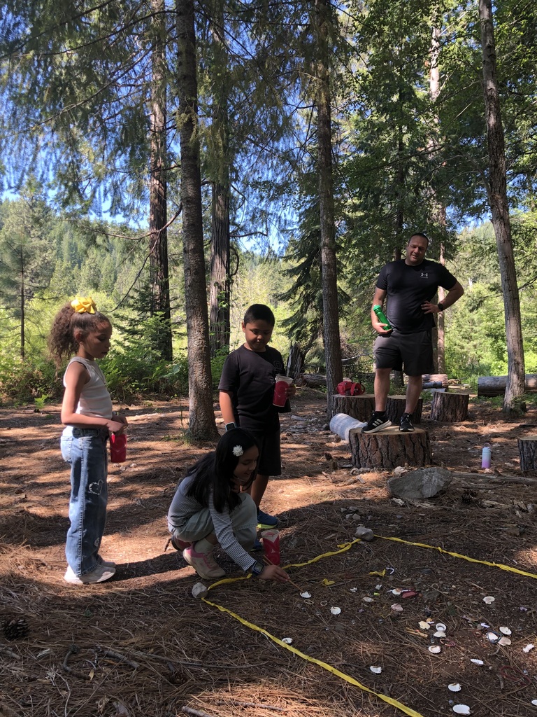 Students in the woods digging for shells. 