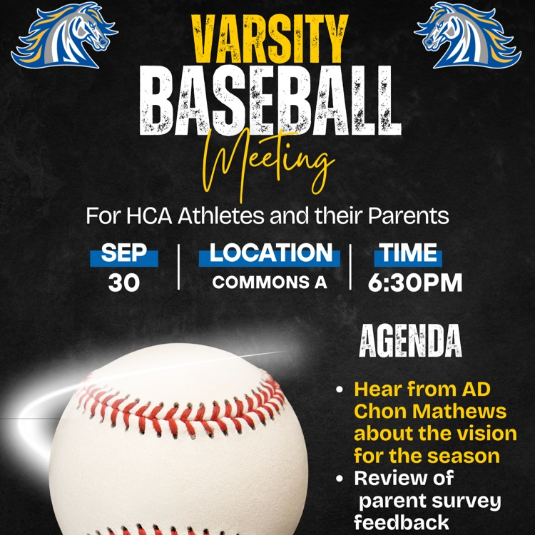 baseball meeting