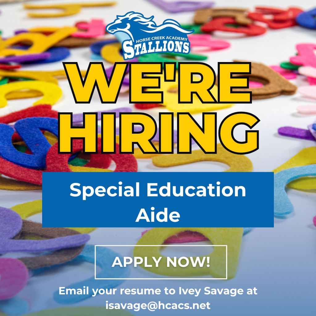 Special Education Aide