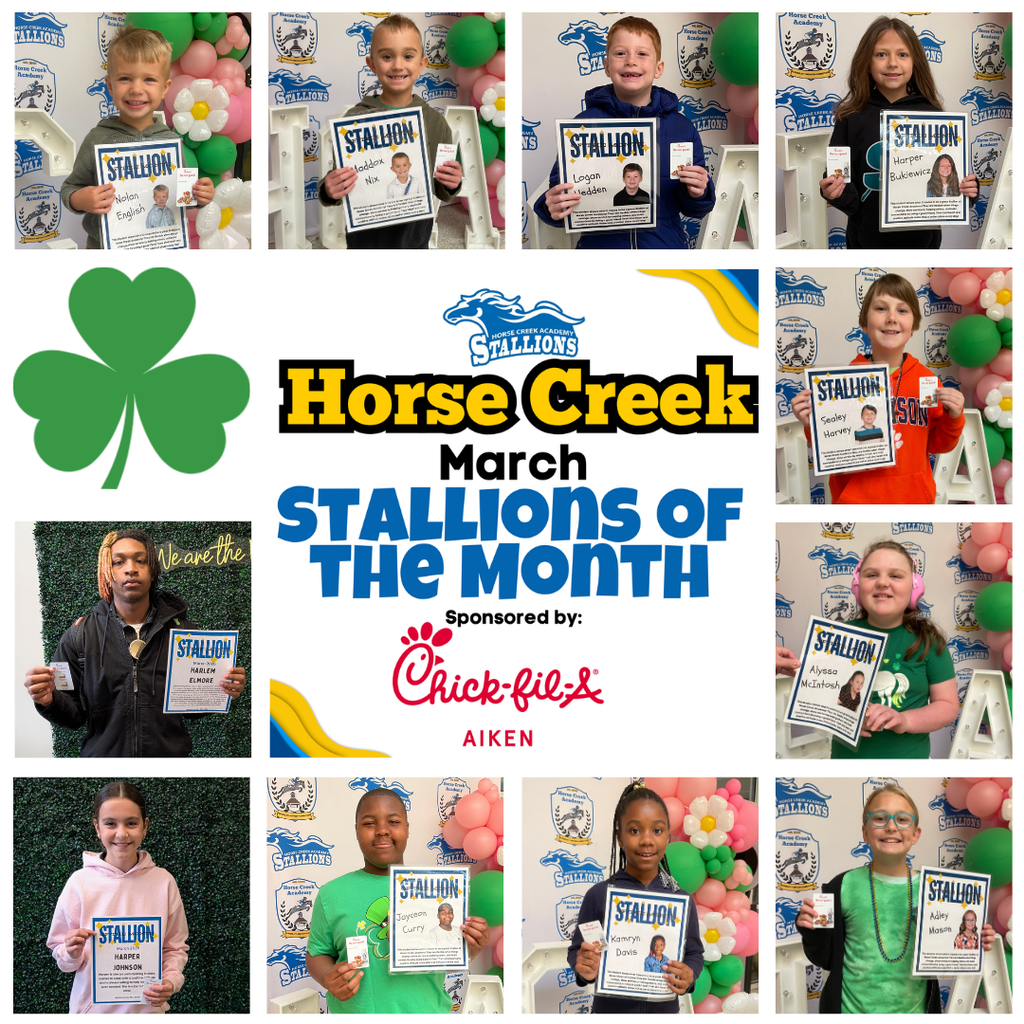 March 2026 Stallions of the Month