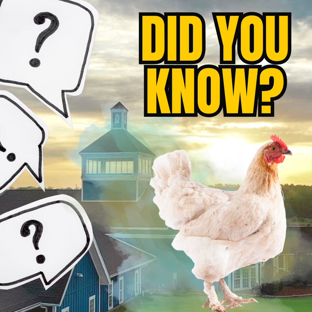 Did you know?