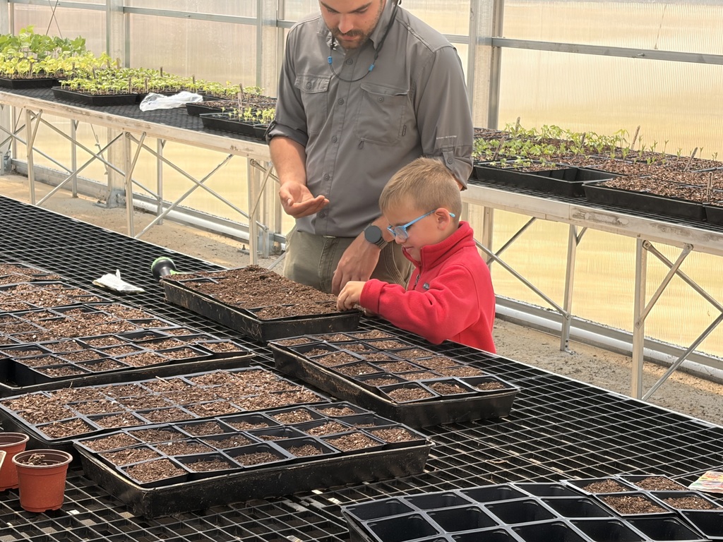 Man and child examining trays of seedlings in a greenhouse with metal tables and large windows.