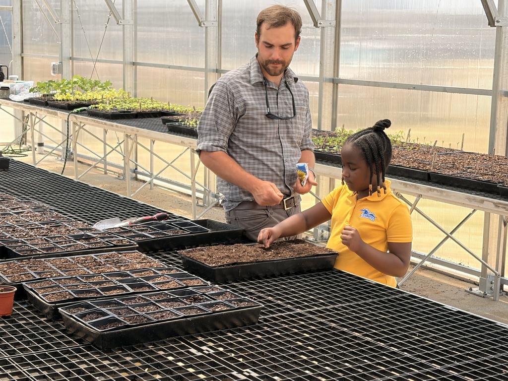 A man and a girl examine trays of young plants in a greenhouse. Trays and plants line the shelves.