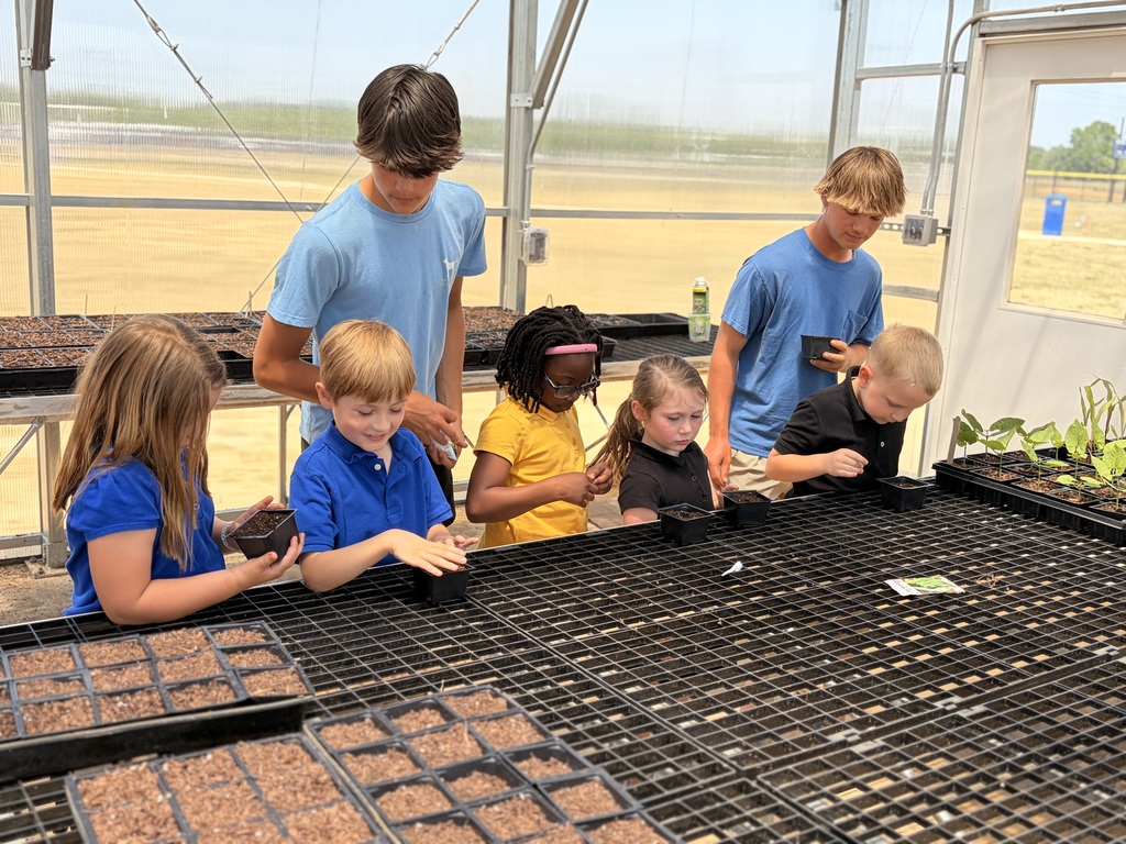Group of children in a greenhouse examining trays of small plants and seedlings.