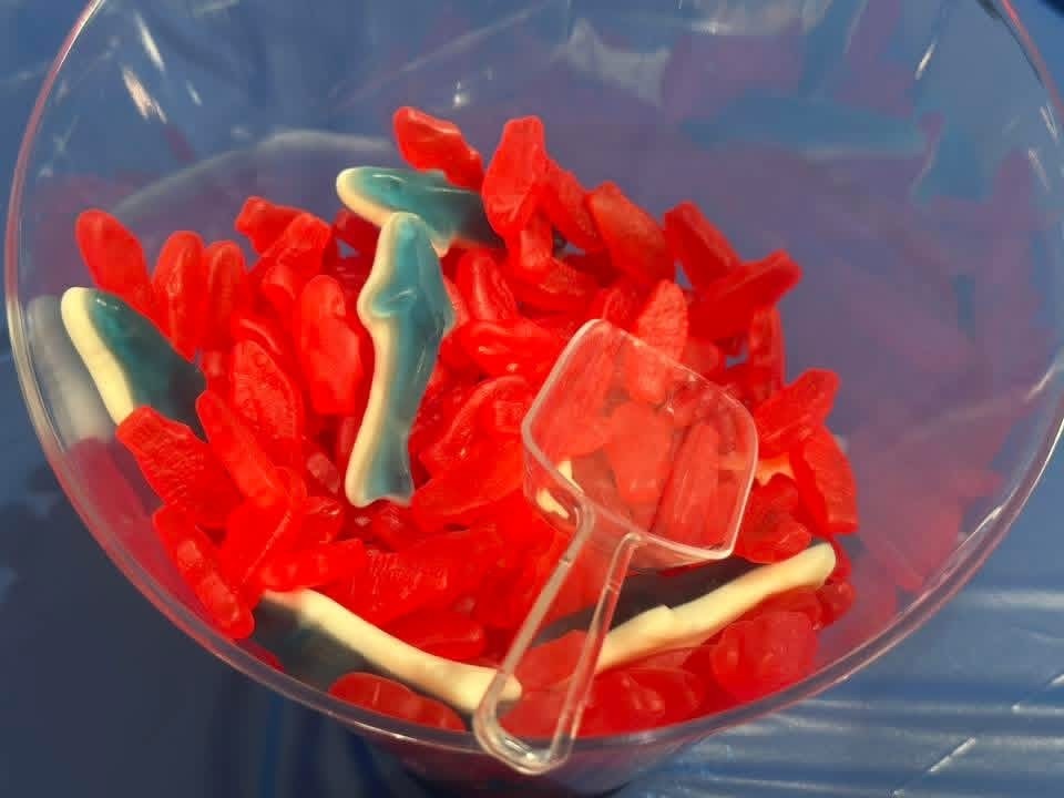 A bowl full of red and blue gummy fish, including a red gummy shark, on a blue surface.