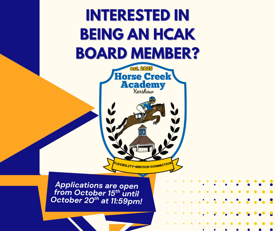 Board Member Interest
