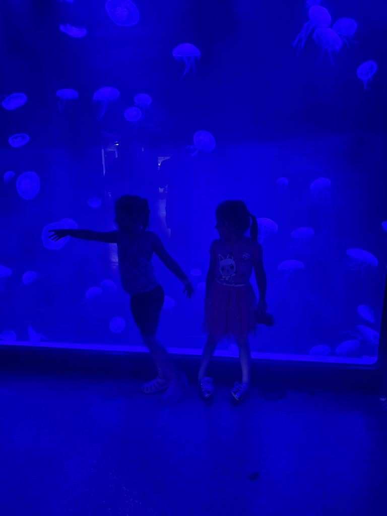 pic